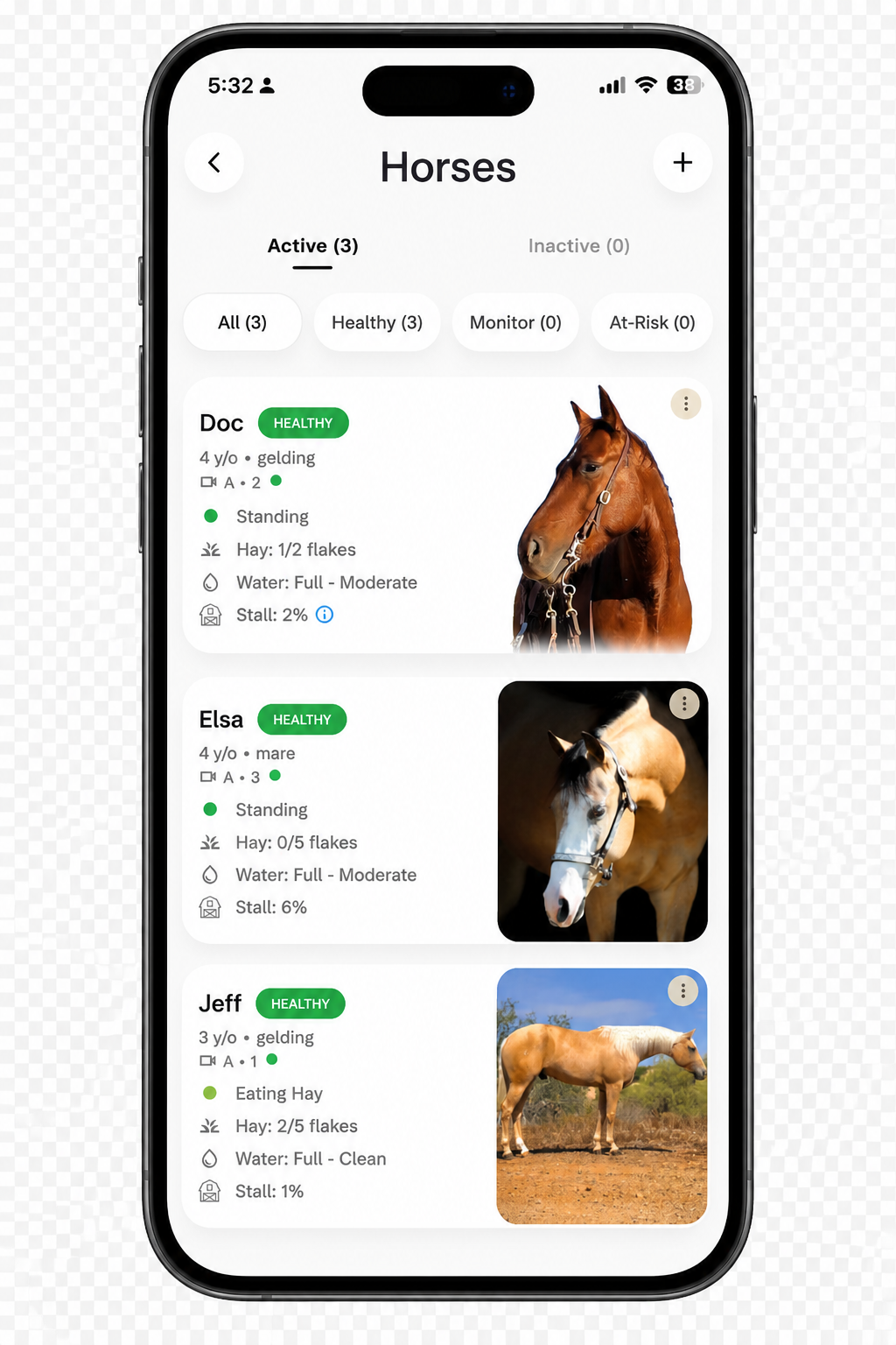 AI Features Membership - 12 Months (EXTRA 20% OFF)