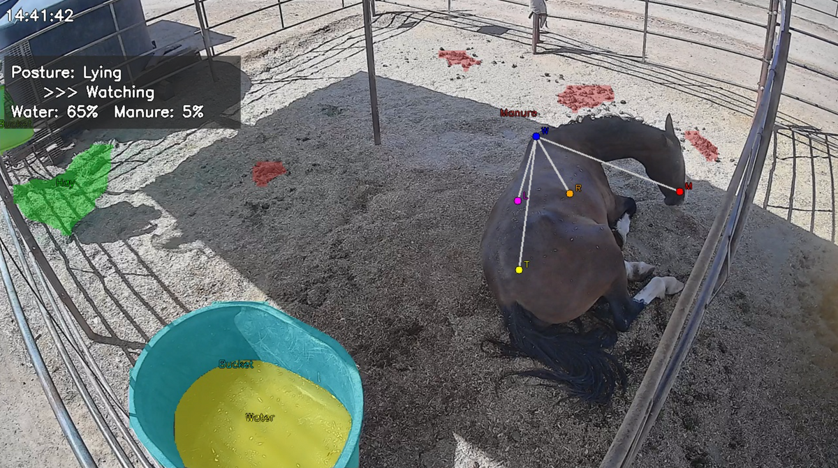 Atlas Alert AI Mode analyzing a horse stall