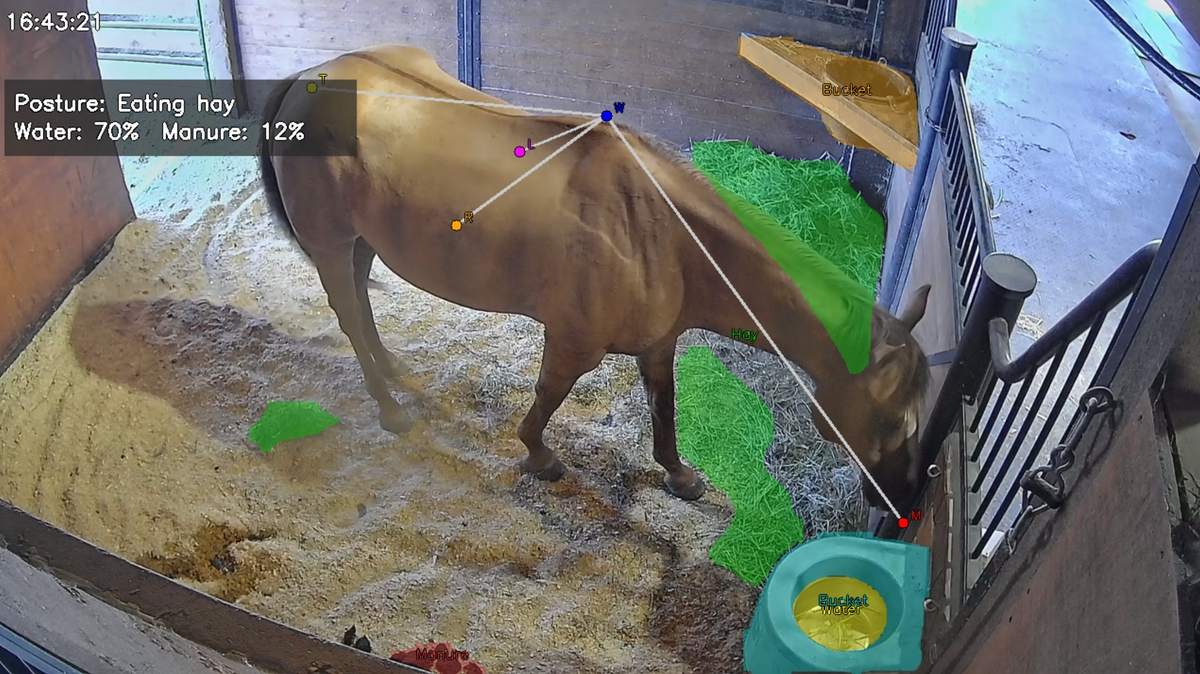 Atlas Alert AI Mode analyzing a horse stall